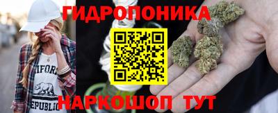 крисы Обь