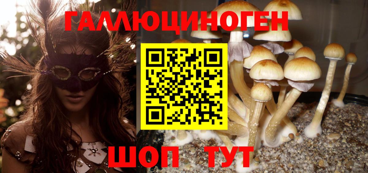 Псилоцибиновые грибы прущие грибы  Вход с VPN  Урай  Галлюциногенные грибы Psilocybe 