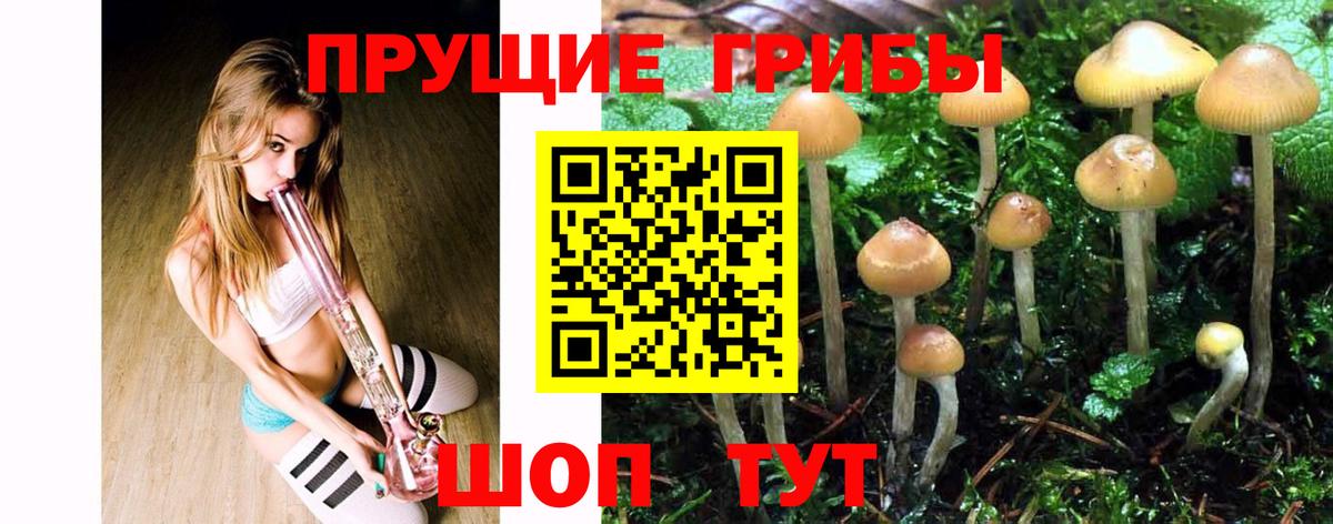 Псилоцибиновые грибы GOLDEN TEACHER Урай